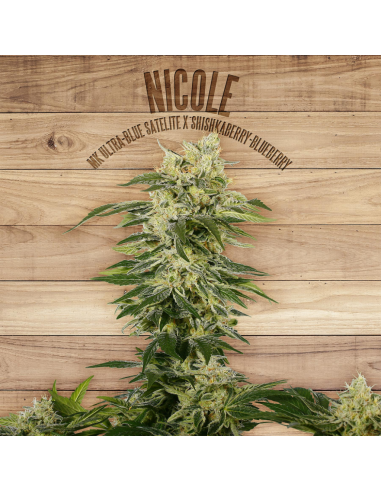 The Plant Nicole - Imagen 1