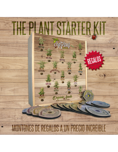 The Plant Starter Kits - Imagen 1