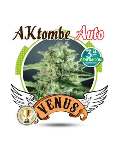 Venus Genetics AKtombe Auto - Imagen 1