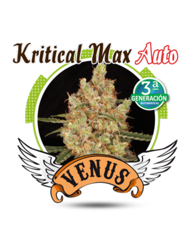 Venus Genetics Kritical Max Auto - Imagen 1