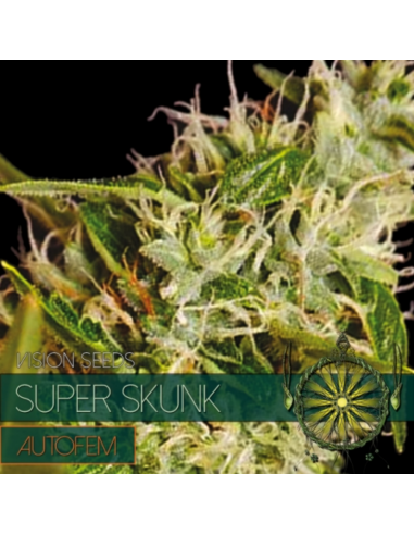 Vision Seed Super Skunk Fem - Imagen 1