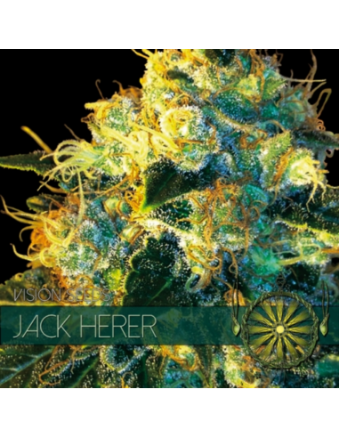 Vision Seed Jack Herer Fem. - Imagen 1