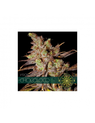 Vision Seed Chocoloco Fem. - Imagen 1