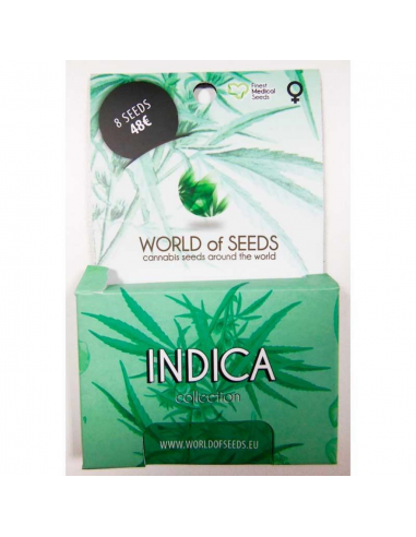 World Of Seed Indica Collection 8Und Fem - Imagen 1