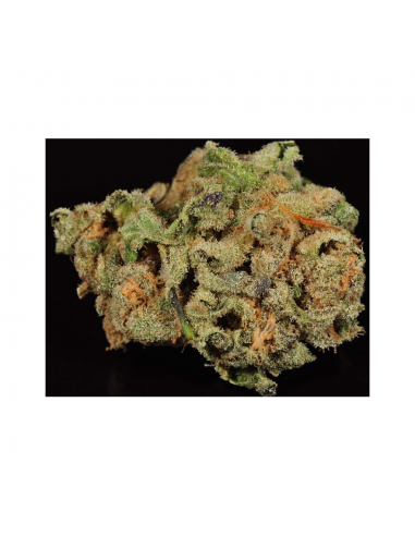 Blimburn Seeds Chemdog4 Fem - Imagen 1