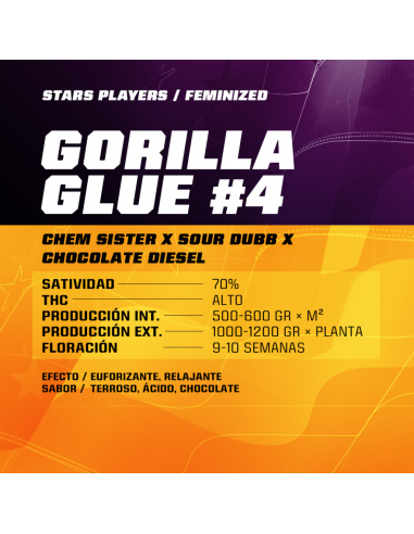 BSF Seeds Gorilla Glue #4 - Imagen 1