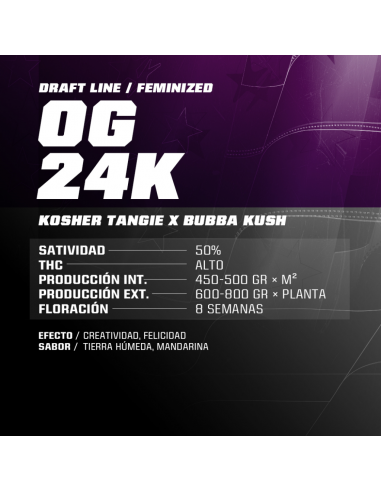 BSF Seeds OG 24K - Imagen 1