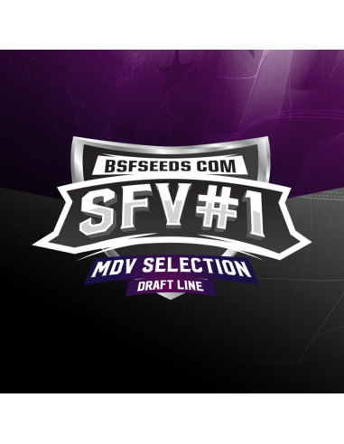 BSF Seeds SFV #1 - Imagen 1