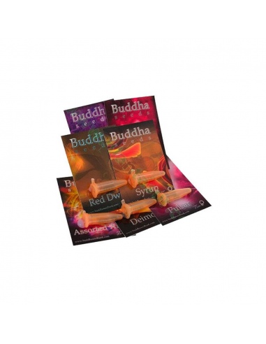 Buddha Seeds Assorted Blister 10Und Auto - Imagen 1