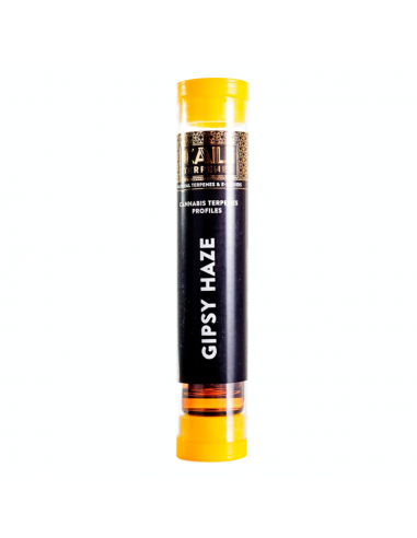 Cali Terpenes Gipsy Haze 1ml - Imagen 1