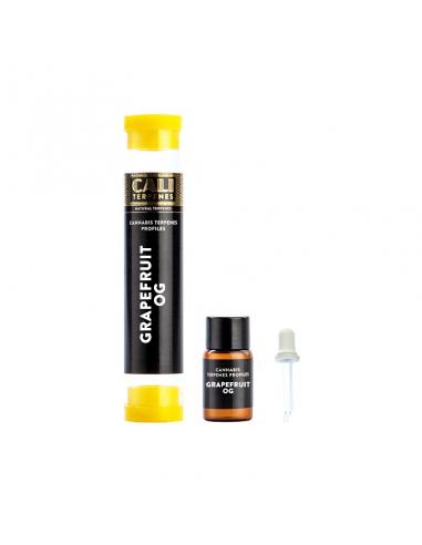 Cali Terpenes Grapefruit OG 1ml - Imagen 1