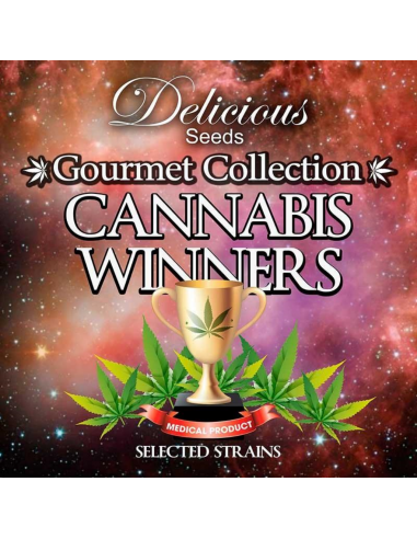 Delicious Seeds Gourmet Collection Cannabis Winners 1 - Imagen 1