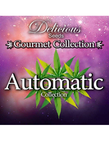 Delicious Seeds Gourmet Collection Auto 1 - Imagen 1